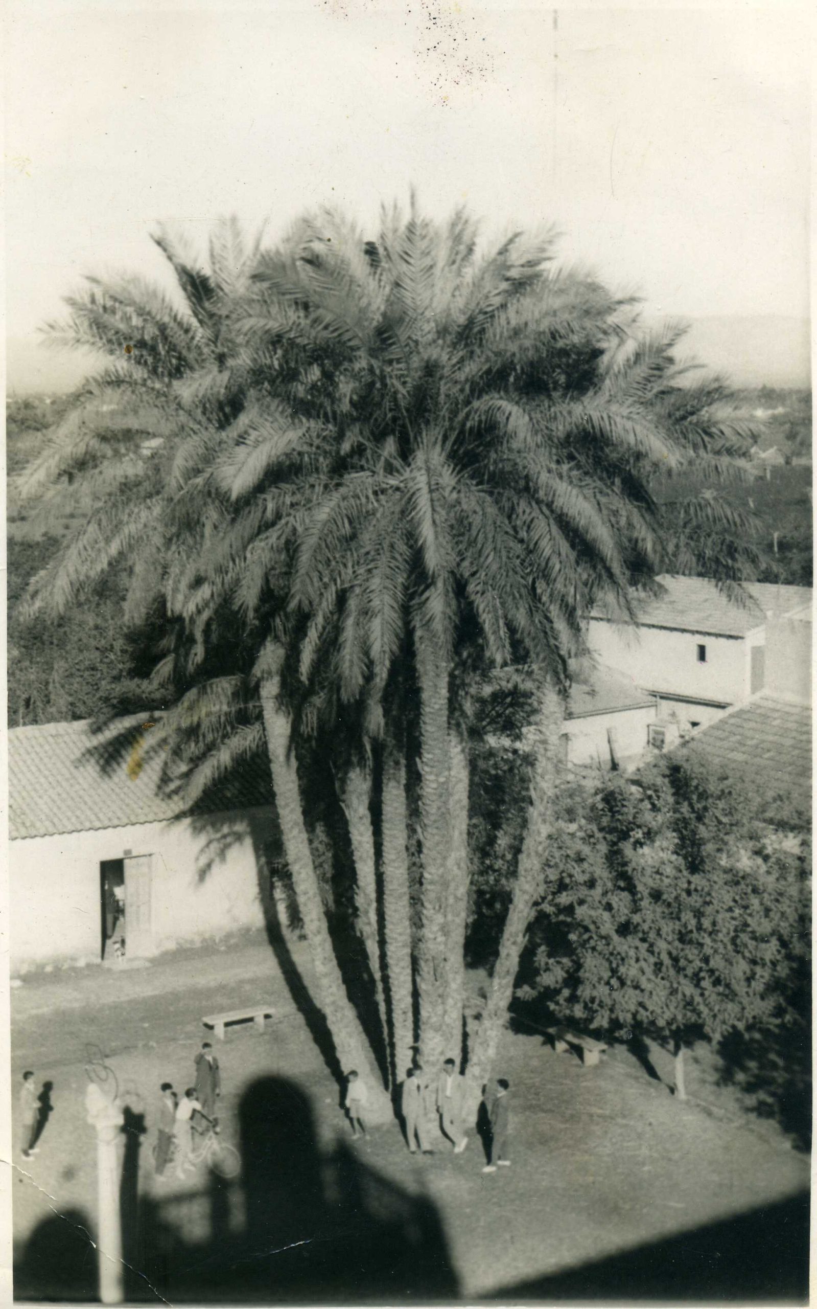 Pestaña 1.1_ Plaza del León de Daya Vieja en la década de 1940.