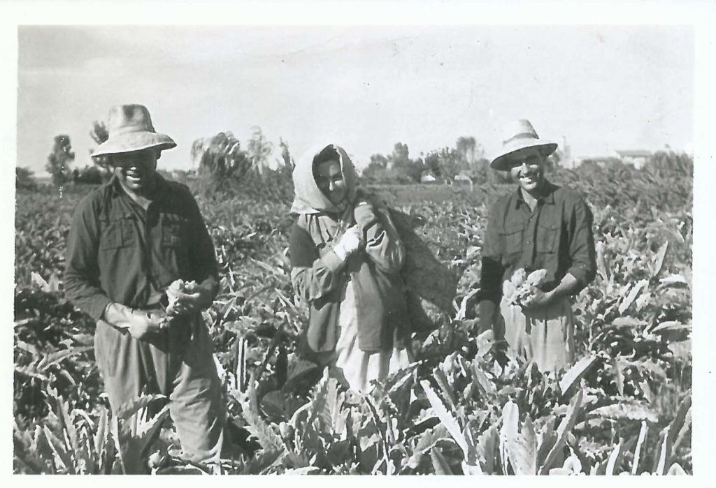 Imágenes históricas Daya Vieja